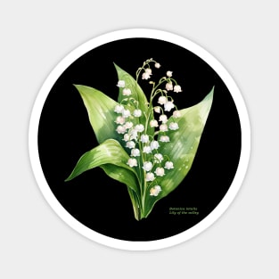 Botanica letalis - Lily of the valley - white flowers Magnet